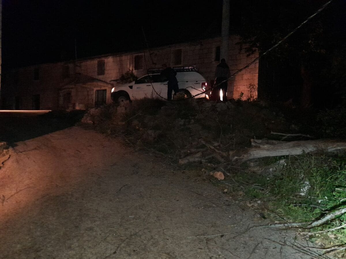 Stablo palo na dalekovod i cestu u Vojniću, vatrogasci izišli na intervenciju