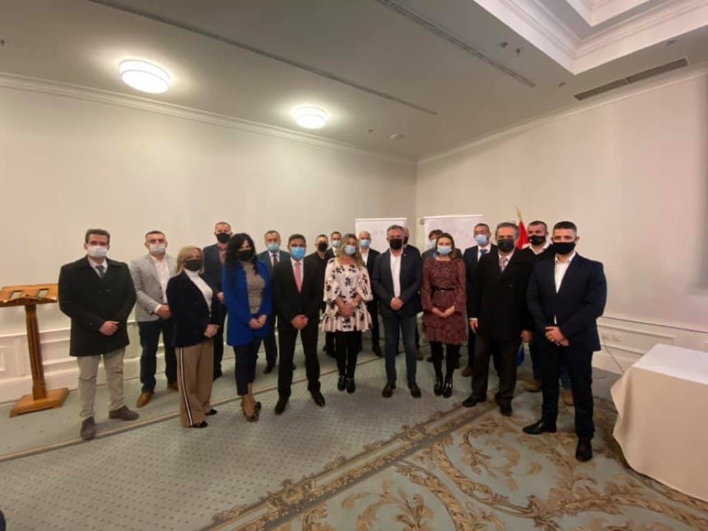 domovinski_pokret_sdz(1)