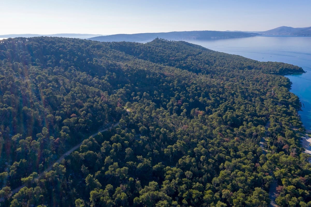 marjan_borovi_suma_potkornjak(1)