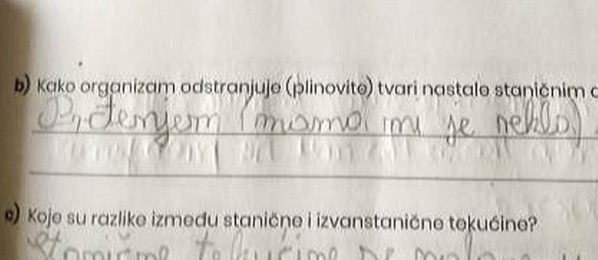 URNEBESAN ODGOVOR Dijete "srušilo" internet