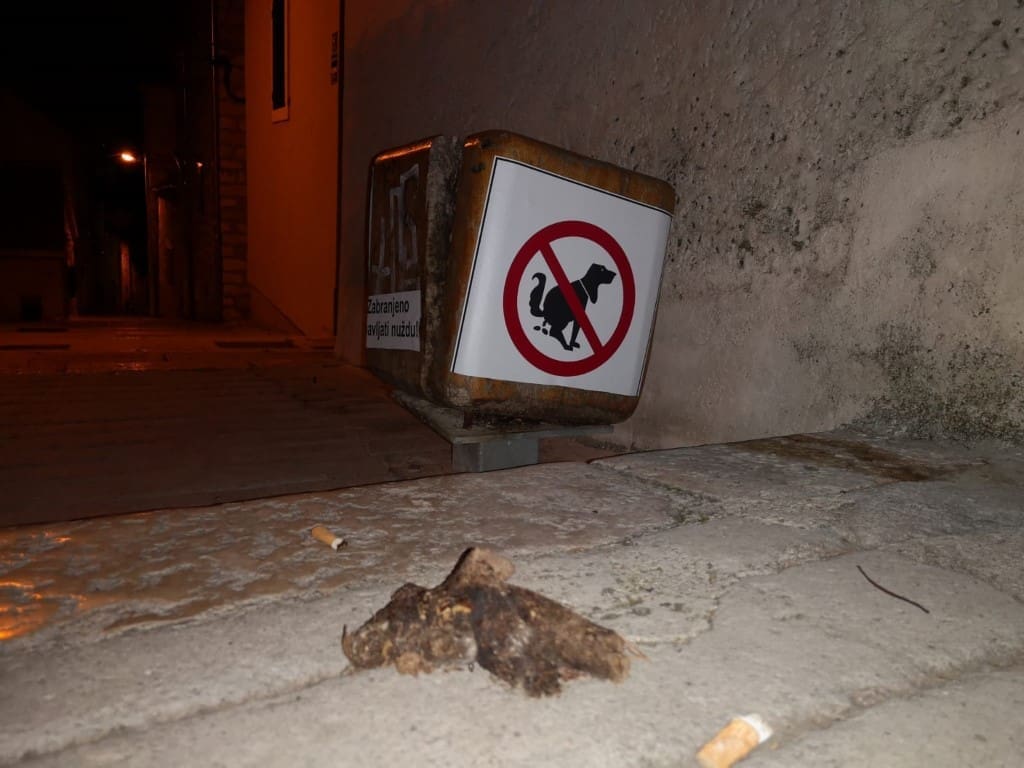 Zbog ovakvih, sve one čestite vlasnike kućnih ljubimaca, nepotrebno gledamo s prezirom...