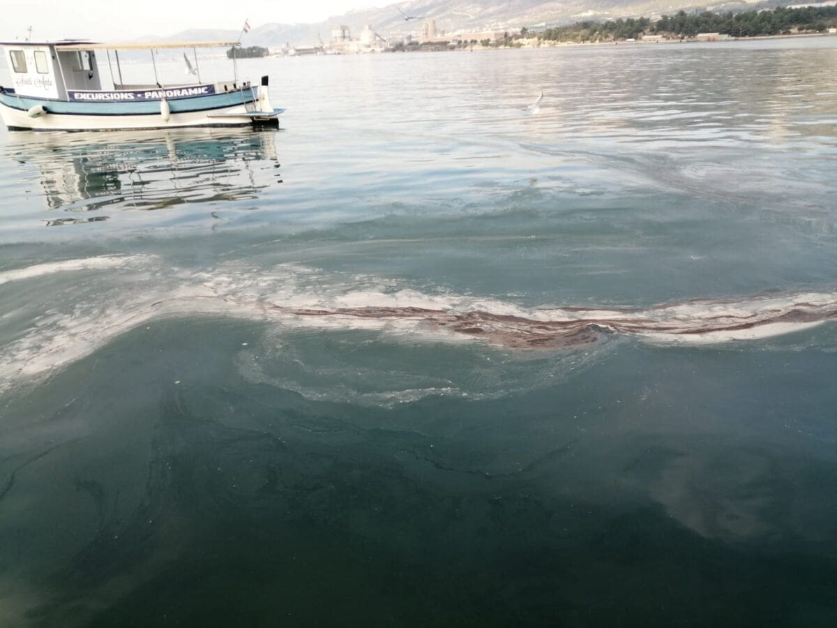 BUNA U VRANJICU Stanovnici poručuju: "Ovako ne izgleda samo morska površina već i naši automobili i kućni pragovi!"