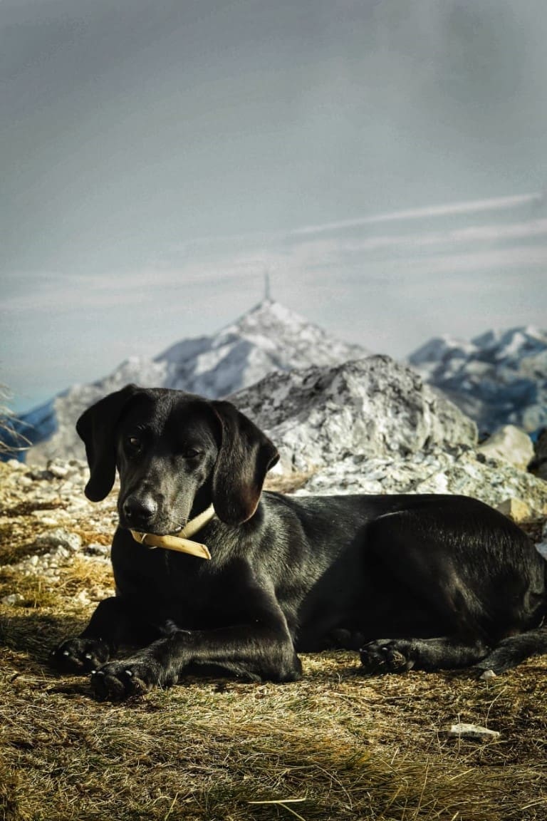 biokovo_sv_ilija(25)