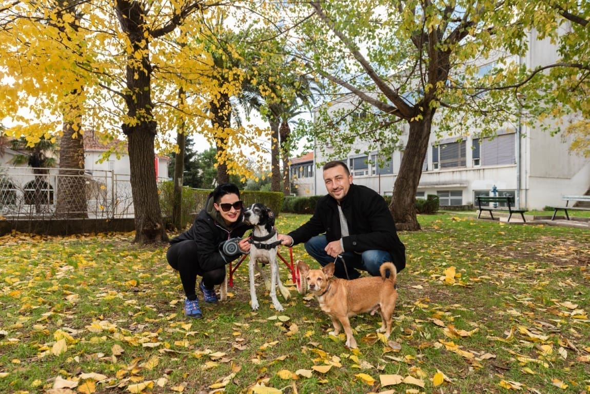 Što kada vam kažu "bolje je uspavati ljubimca nego da pati"? Sve više vlasnika se odlučuje na ovu bezbolnu terapiju