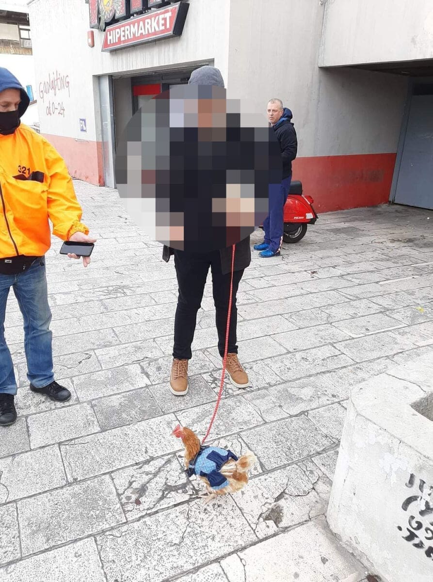 kokos-povodac-uzica2