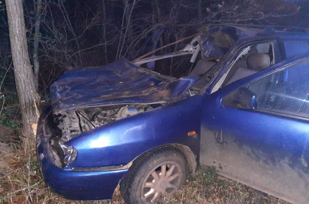 Automobilom naletio na magarce: Vozač ozlijeđen, šest magaraca izgubilo život