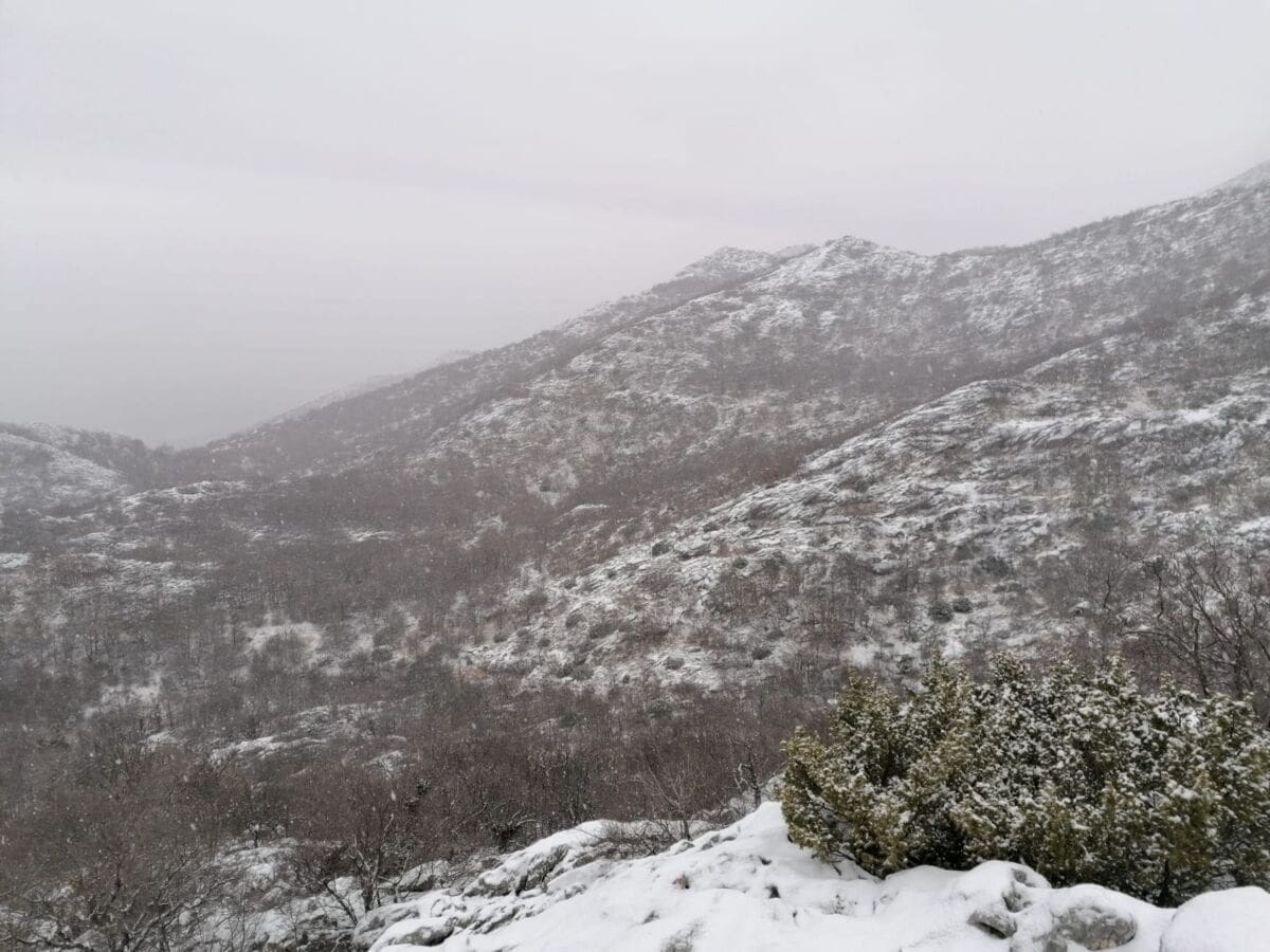 snijeg-mosor-dubrava(1)