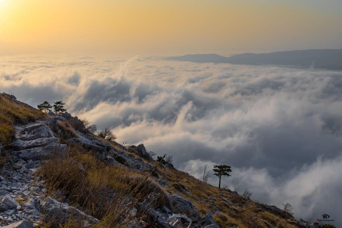 PRIZORI ZA PAMĆENJE Popeo se na Omišku Dinaru i snimio predivno "more" magle