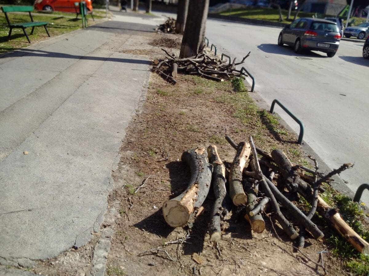 rezanje stabala plokite (1)