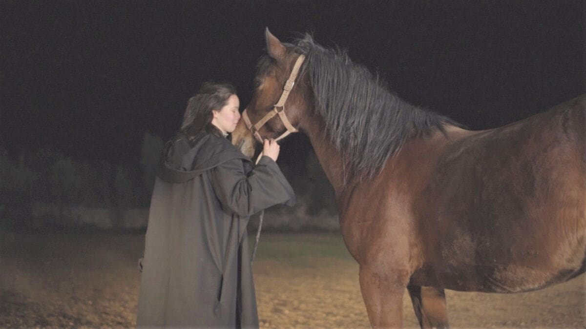 tuge dolaze klapa cambi (1)