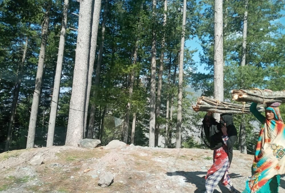 Pogodite gdje smo snimili ove vrijedne žene, koje nose drva za ogrjev?