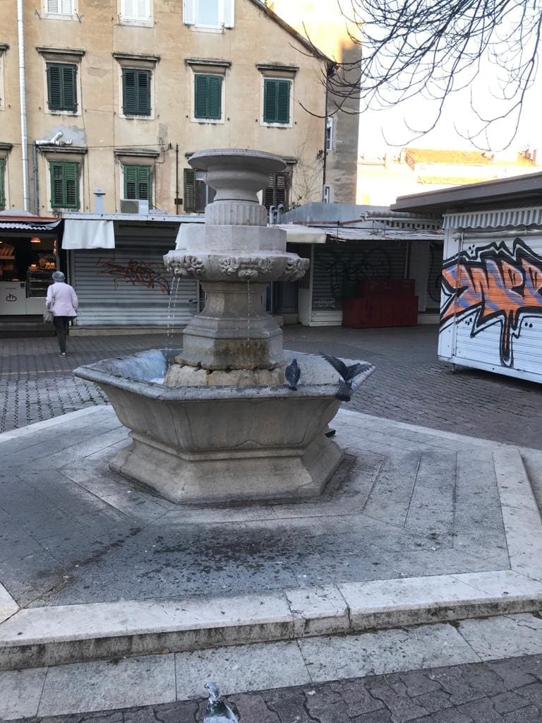 WhatsApp Image 2021-03-02 at 07.24.19