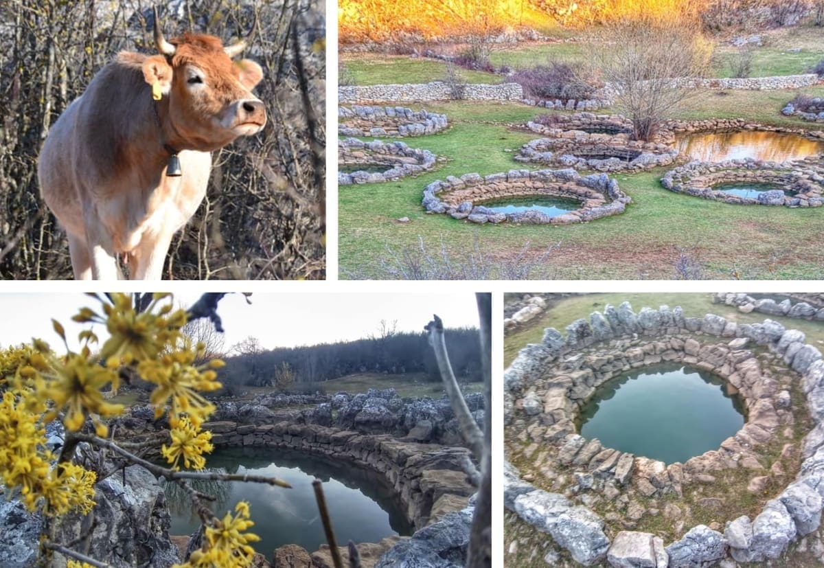LJEPOTA U KLIŠKOM ZALEĐU Bunari Rajčice izgledaju čarobno uz prirodu koja se budi