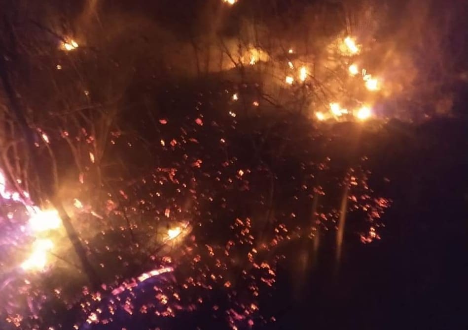 POŽAR U ZALEĐU OMIŠA Sedam vatrogasca se borilo s vatrom i burom