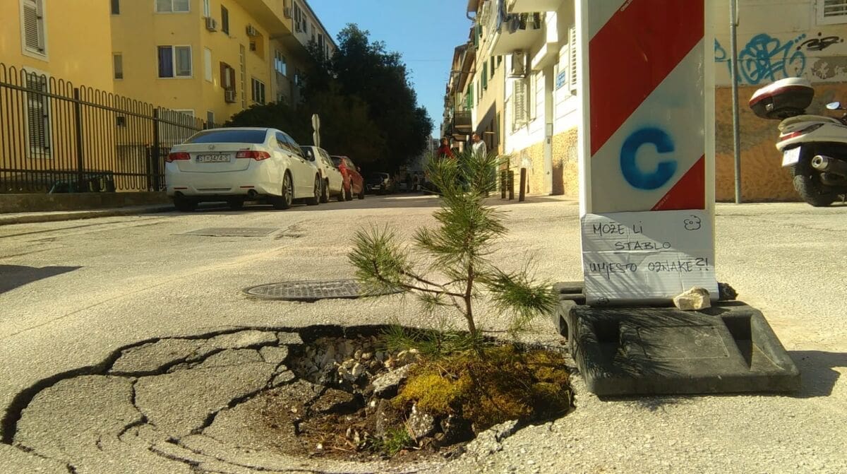OPASNOST ZA VOZILA Stanovnici ogorčeni zbog rupe na cesti: "Može li stablo umjesto oznake?"