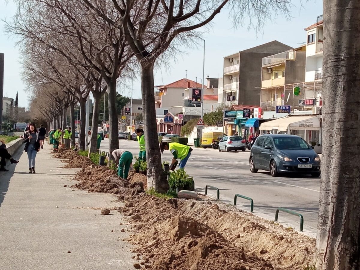 vukovarska uredjenje parkovi i nasadi (1)