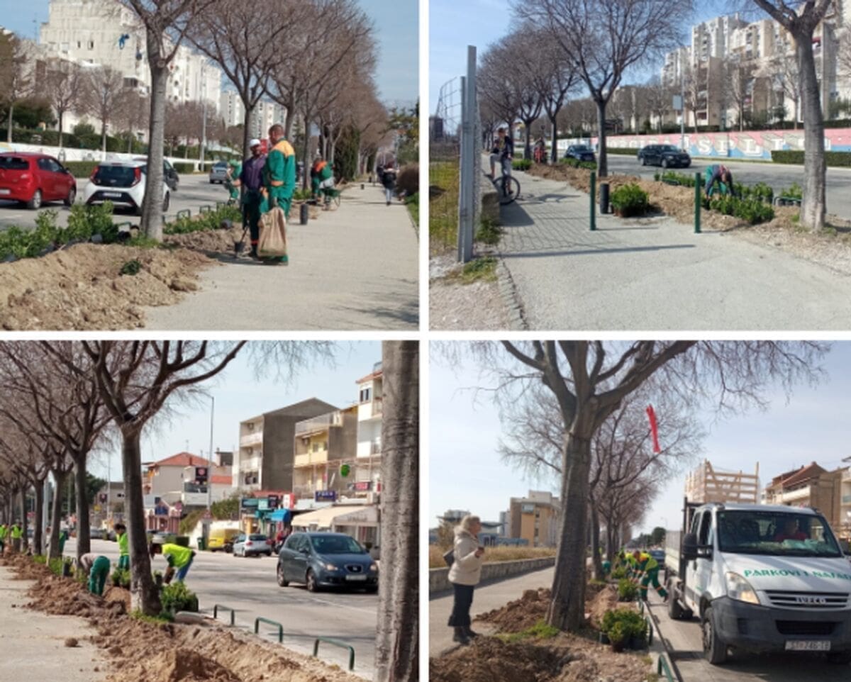 OZELENJAVA SE VUKOVARSKA ULICA U SPLITU: "Ovaj okoliš se zadnjih 20 godina devastira zbog parkiranih automobila"