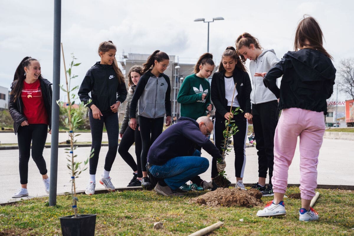 4-22-dugopolje-sadnja-masline-dan-planeta-1