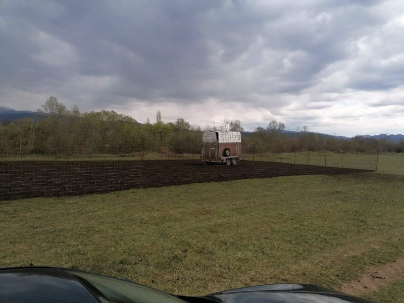 cetina_ovce_kucica (1)