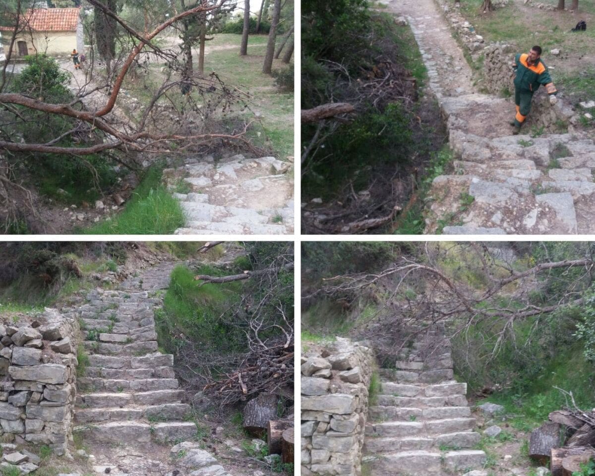 UKLONJENO JE STABLO KOJE JE PALO NA STAZU NA MARJANU Park Šuma Marjan poručuje: "Čuvajmo Marjan, ali čuvajmo i sebe u šetnjama šumom"