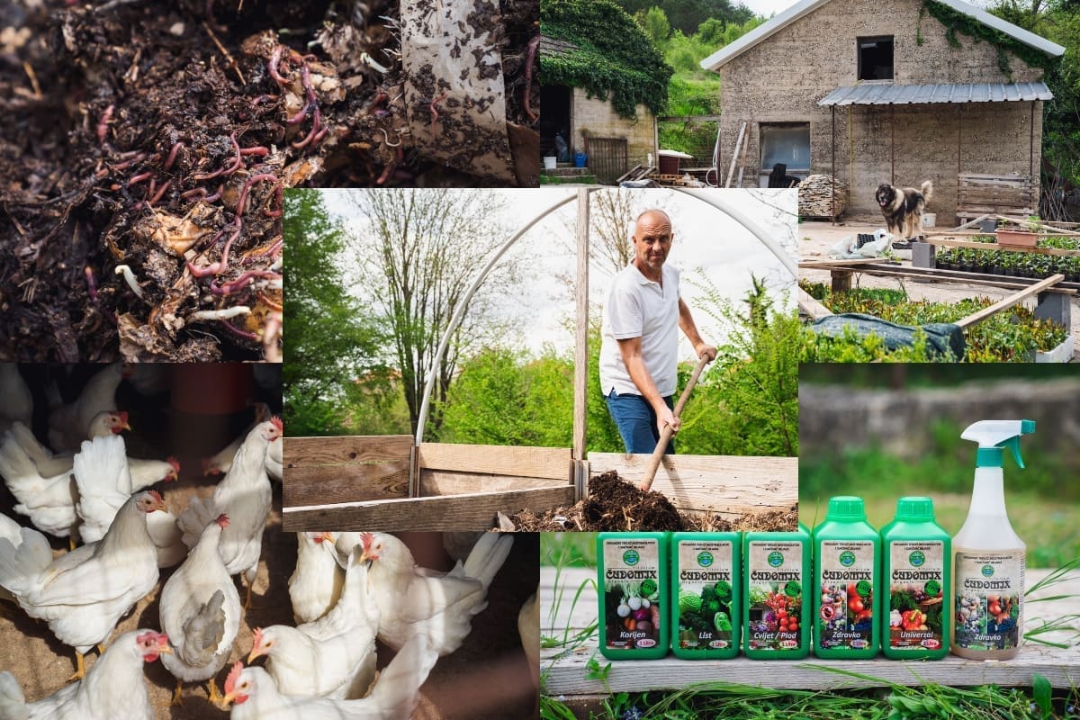 PONOSNI TRILJANI Obitelj Pezelj uspješno plovi poljoprivrednim vodama: "Vrlo brzo smo stekli vjerne kupce i svake godine povećavamo proizvodnju"