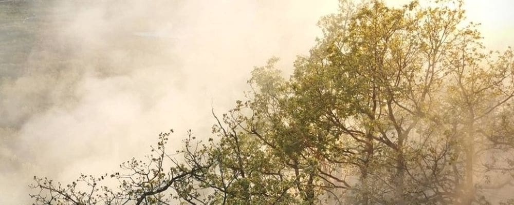 VATRENA BUKTINJA U ZAGORI: "Požar je velik i na nezgodnom terenu"