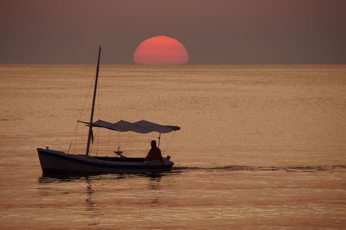 andelascepanovic (17)