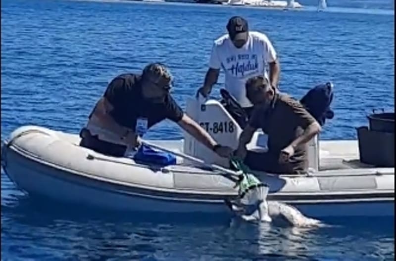 VIDEO Neobična akcija spašavanja na moru ispred Podstrane