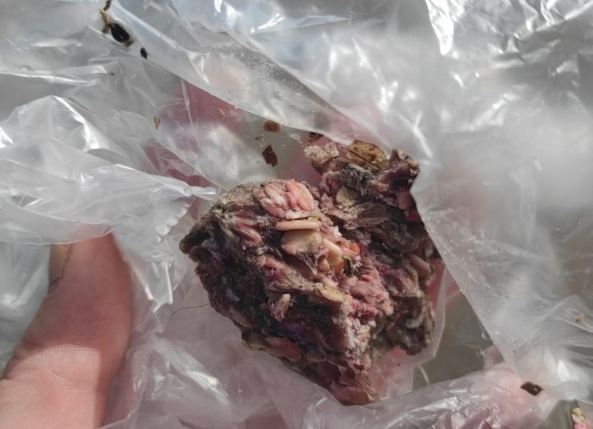 GRAĐANI, OPREZ! Bačen otrov za pse na plaži Firule