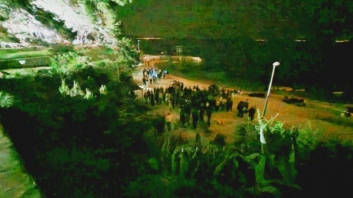 ovcice zabava mladi (1)