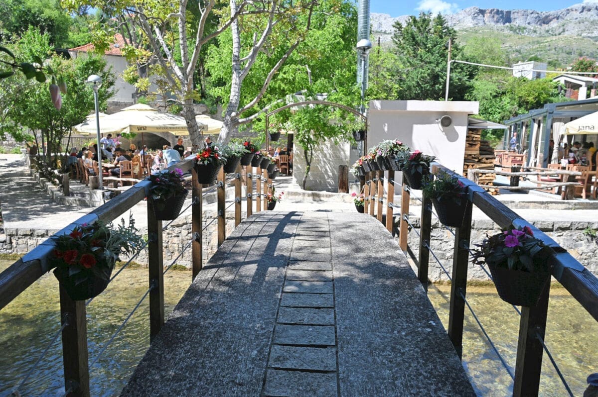 overeem_familija_zrnovnica_rakela03