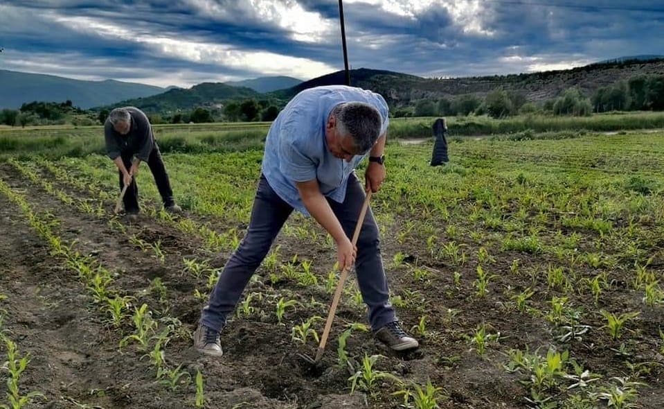GRADONAČELNIK BULJ SE UHVATIO MOTIKE "Milijuni turista se hrane iz uvoza, nemamo povrća ni za sebe. Je l' to sramota?"