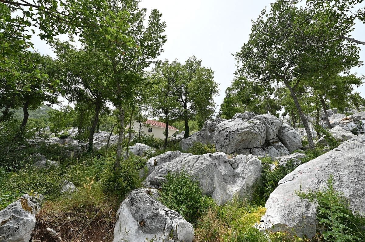 dolac_gornji_opg_lucic01