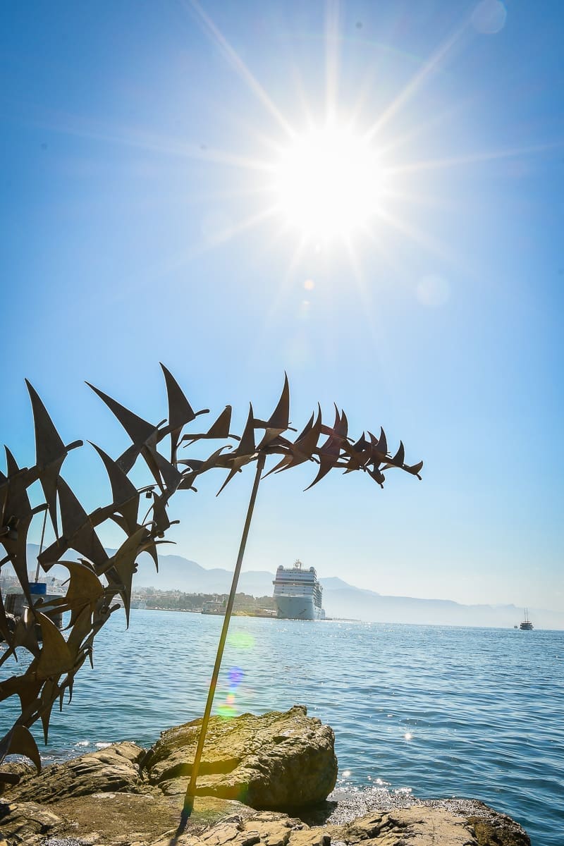 ekoakcija_od splita moru (2)