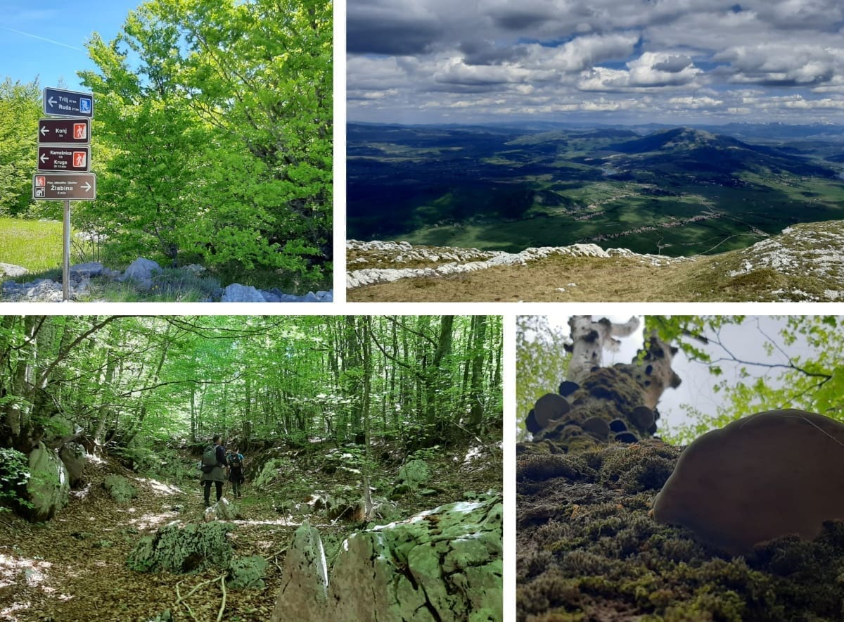 Idealan je dio godine za planinarenje na Kamešnicu: Jeste li posjetili planinu koja Dalmaciju dijeli od BiH?