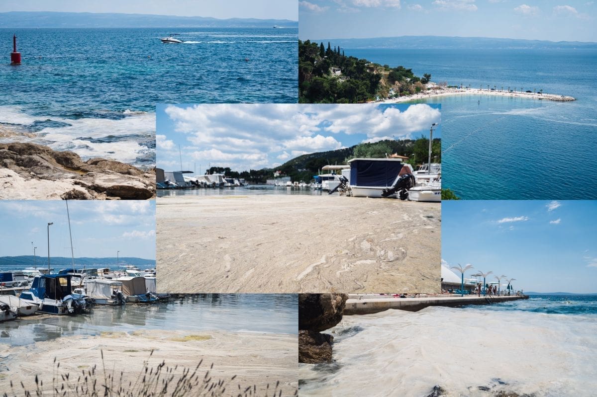 NAPRAVILI SMO ĐIR SPLITSKIM PLAŽAMA Kupača vrlo malo, je li tome razlog pojava koja je zabrinula mnoge?