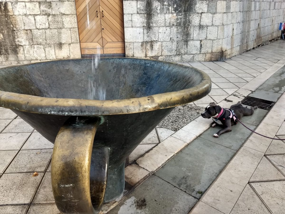 pasje_vrucine_split_pirja_lijevak_marmontova (1)