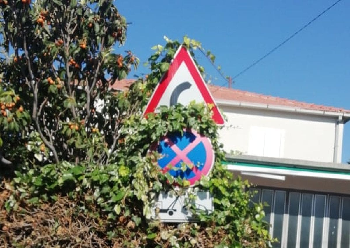 Suživot s prirodom u Splitu: Prometni znakovi kao držači za raslinje