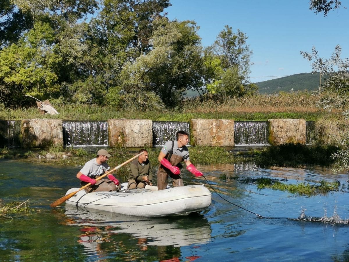 OČUVAT ĆE SE VRSTA ZA BUDUĆE GENERACIJE Zaštićena pastrva vraćena u Vrljiku