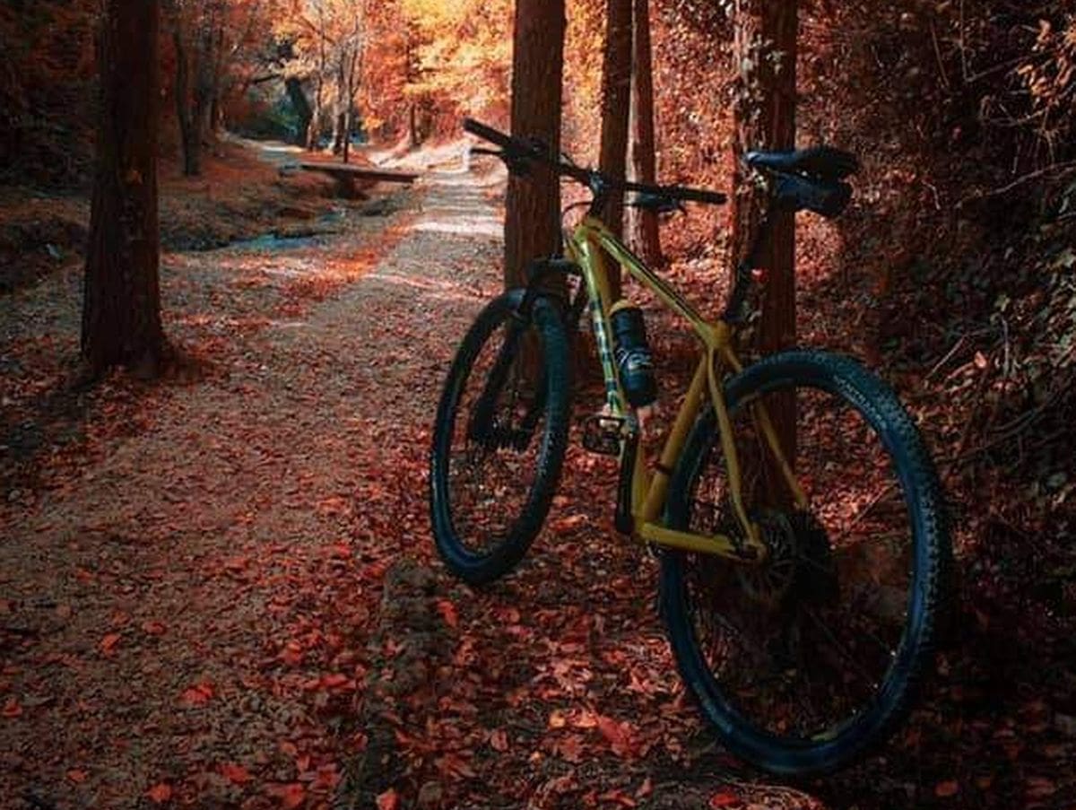 NEMA VIŠE ŠETNJE Jakov Vetma: "Šetnica do daljnjeg neće biti održavana. To je interventna mjera, a ostale slijede"