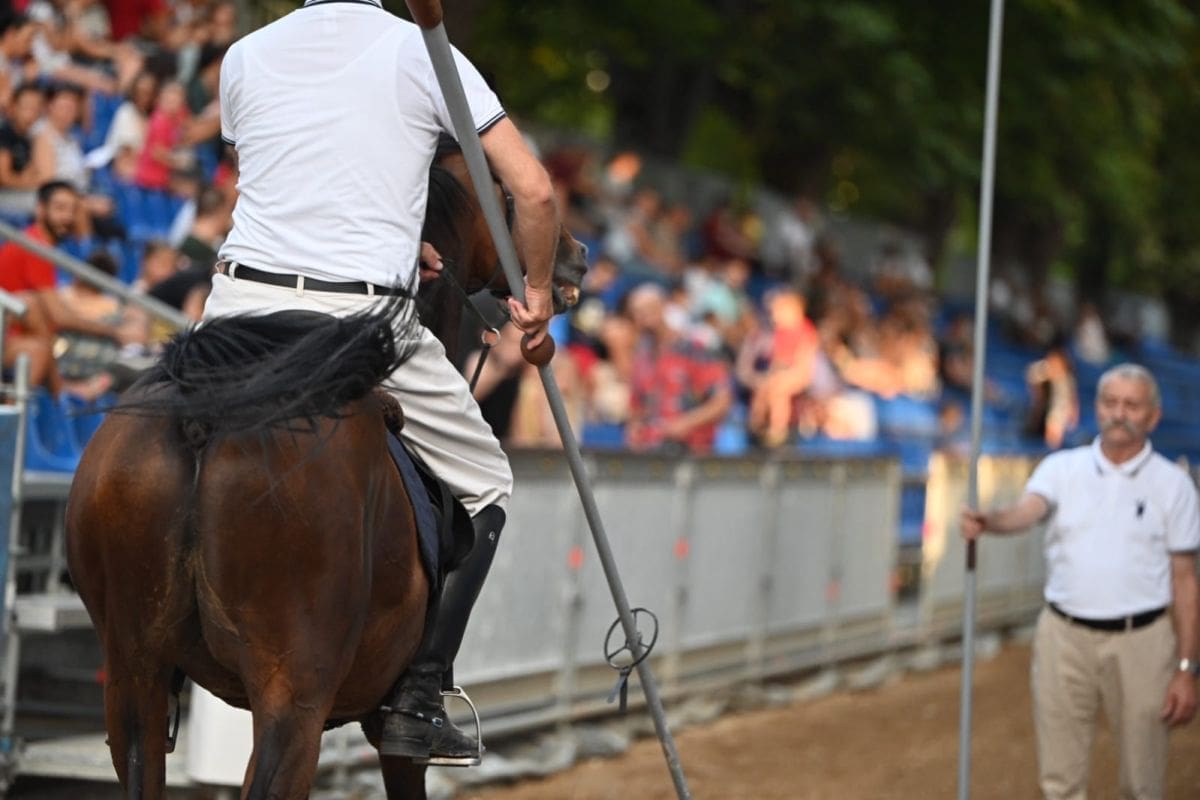 TAJNA USPJEHA SINJSKIH ALKARA Zadovoljan konj i besprijekorna staza: "Cili život se svodio na ovaj sutrašnji dan"