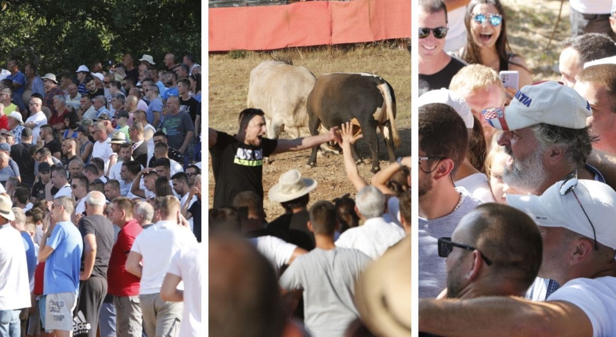 SVI SU U RADOŠIĆU Mnoštvo je danas bilo na bikijadi, pogledajte koga je sve uhvatila naša kamera