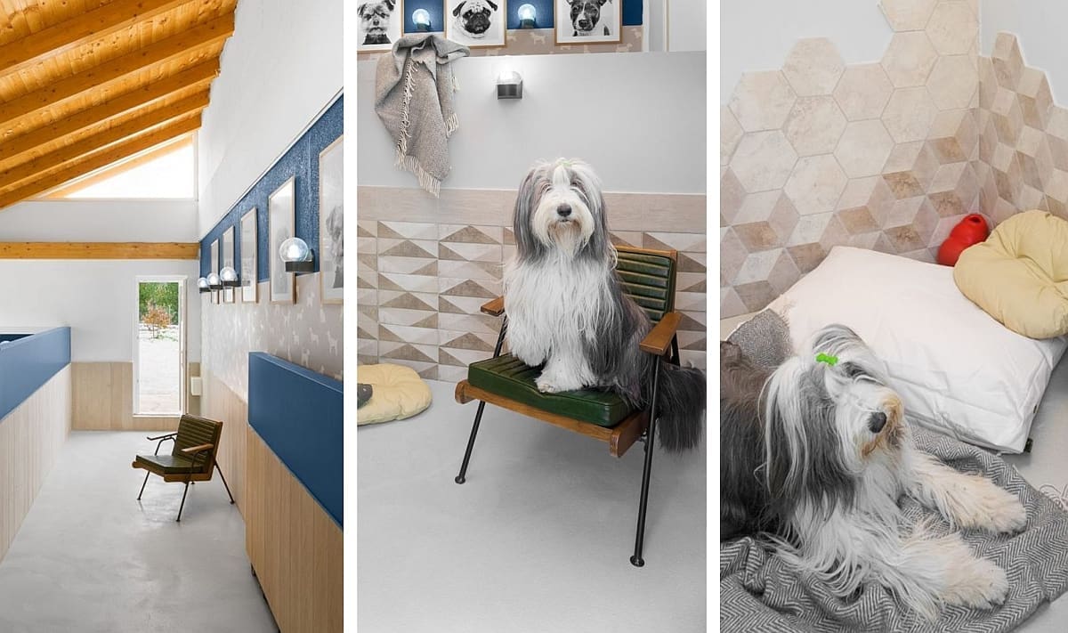 RAJ ZA LJUBIMCE U ZALEĐU SPLITA Otvara se luksuzni hotel za pse, jedini takav u Hrvatskoj