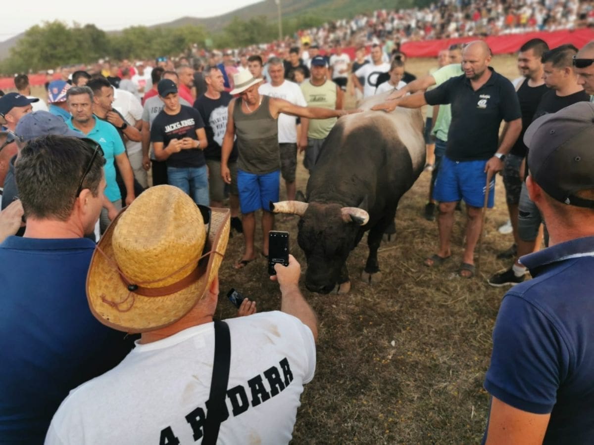 incident_radosic (1)