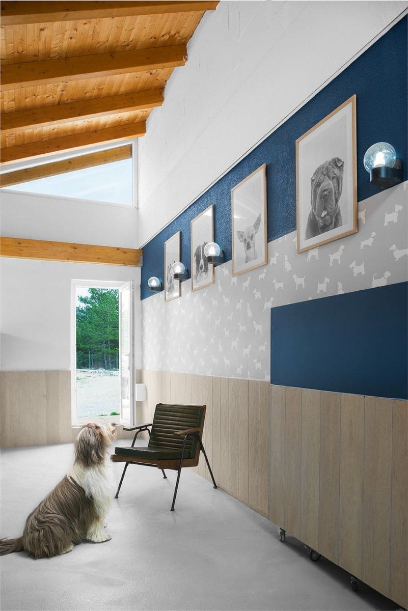 navigo_hotel_za_pse(3)