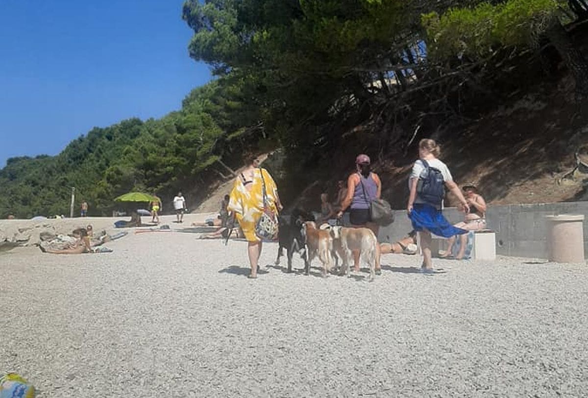 OGORČENA SPLIĆANKA "Dokle ćemo trpit njihovo nepoštovanje našega samo da bi nam ostavili pare..."