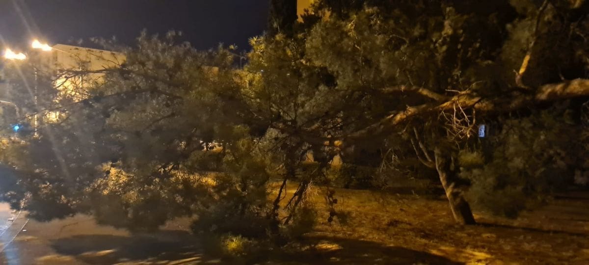 PALO STABLO U SPLITU "Blokiran nogostup, ne može se proći"