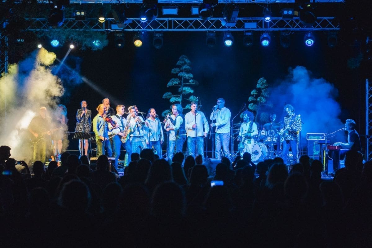 8-11-san-sustipanske-noci-gibonni-19