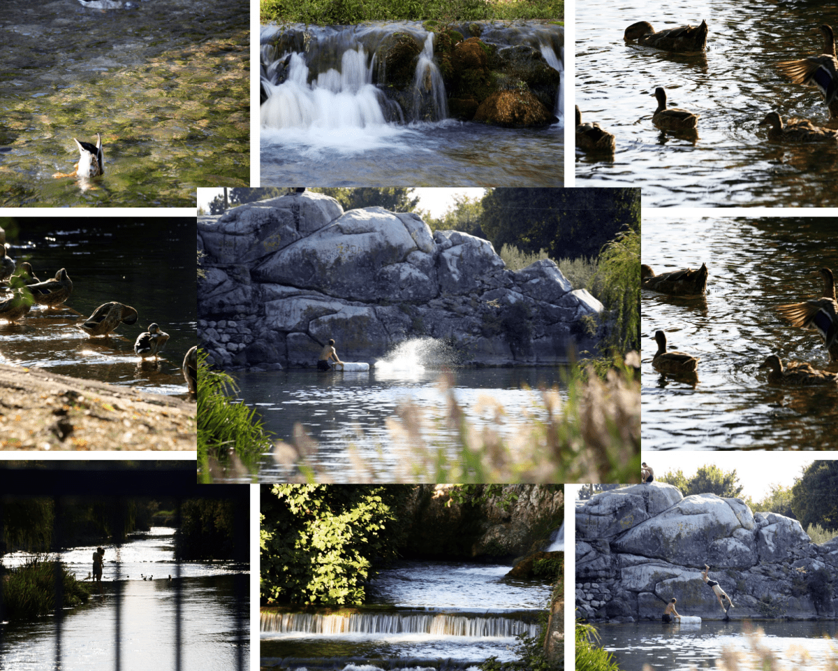 MORE VAM JE PREVIŠE TOPLO? Predivna priroda izvora Jadra mnogima je pravi hit. Viđeni su kupači, pogledajte ovo