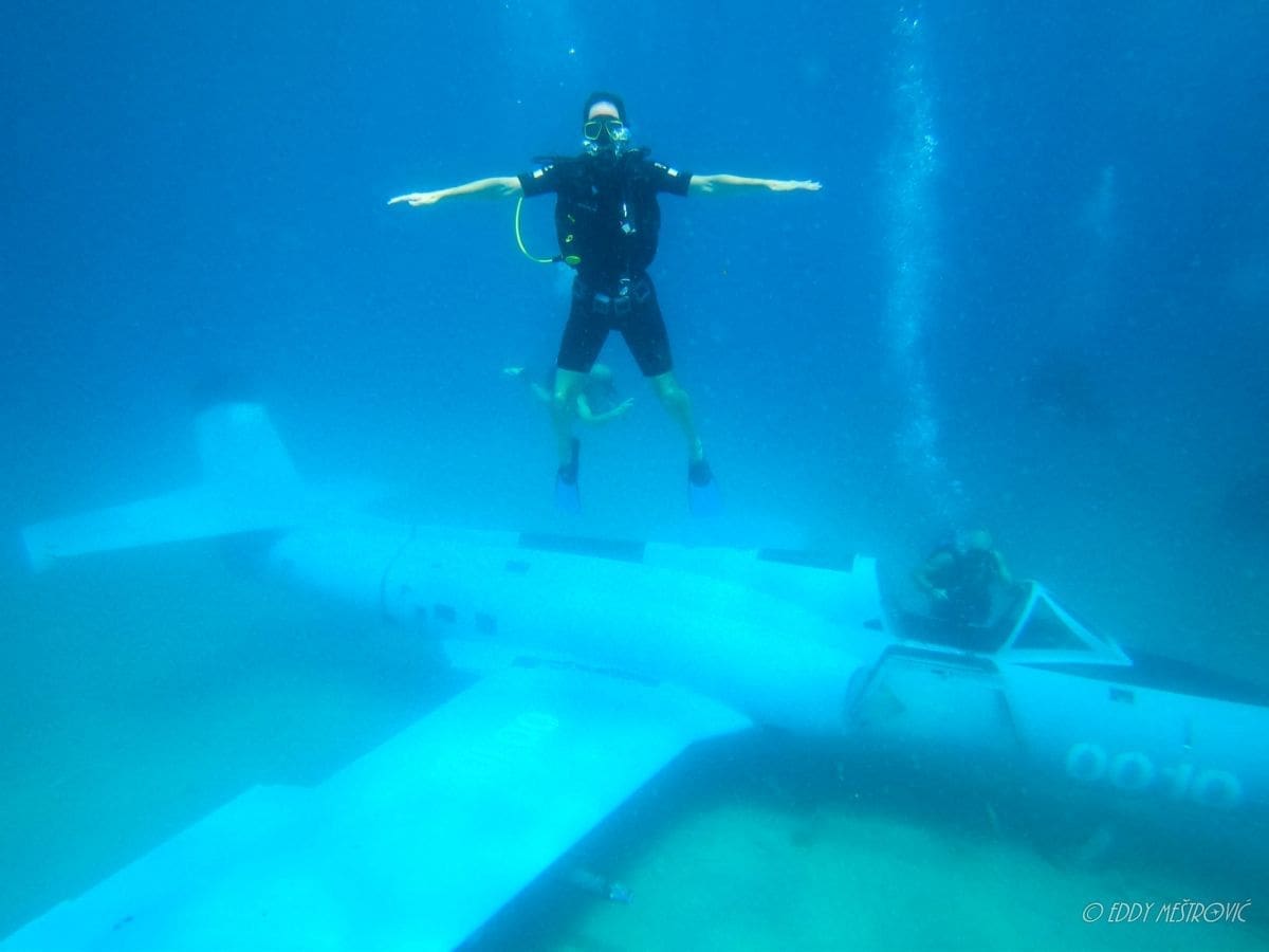 jastreb_rogoznica_podmorje001